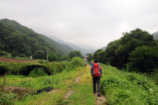 [오지산행기] 땀으로 멱 감고 (화방이→584m, 한강기맥, 대학산, 961m, △935.1m, 896m→가래골)