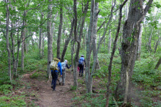 [오지산행기] 오대산으로 폭염 탈출 (오대산 연곡천)