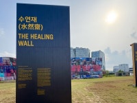 직각 없는 전개도, 럭스틸로 1,428장의 비늘을 맞추다