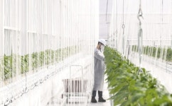 대한제강 스마트팜, 탄소중립 대표 이바지 사례