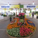 음성 청결고추와 꽃 축제가 만났을때