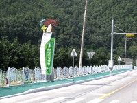 영동 자연산버섯 관광객 입맛 유혹