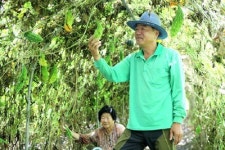 친환경 무농약 농산물… 돈 벌어다 주는 효자