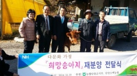 농협단양군지부, 다문화 가족 희망 송아지 재분양