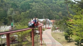 보은군, 솔향공원 스카이바이크 개장