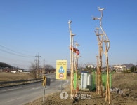 청양 강정리, 솟대 세우고 마을안녕 기원