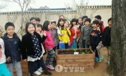 천안 도심 속 텃밭서 힐링