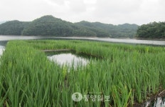 충주 살미면 신매리에 인공산란장