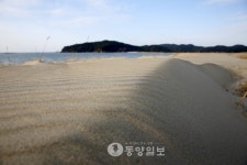 생명의 다리 태안 신두사구 콘텐츠화 나서