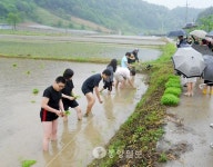농촌체험관광 명소 보은 분저실