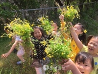 아산 신창초 텃밭 가꾸기