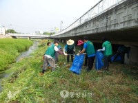 충주 교현2동 새마을協, 교현천변 제초작업 구슬땀