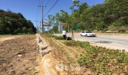 청양 남양면 꽃길 조성사업