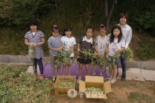 학교 텃밭에 가꾼 농작물로 수확의 기쁨 누려