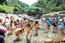 여름휴가 고민 끝 … 청정계곡 단양 인기