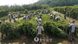 5탄약창 장병 수해복구 피해돕기 구슬땀