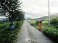 충주 주덕읍 마을이장, 마을 진입로 벚나무길 정비