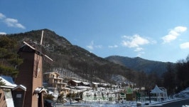 충북알프스휴양림 겨울손님맞이
