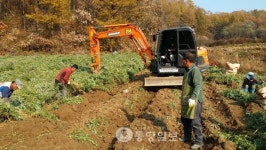 제천 우수약초 생산지원 총력