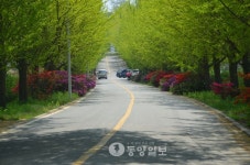인도없는 공주교도소 진입로 위험