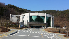 청양 백세공원 구기자나무 분양완료