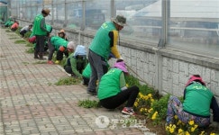 예산군 충남도민체전 대비 환경정비