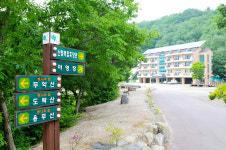 단양 소선암휴양림 관광객 북적