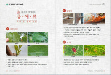 한눈에 보는 대추병해충