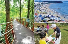 산림욕·물놀이… 반갑다 여름아