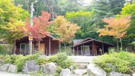 박달재휴양림 올 여름에도 인기 짱!