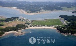 태안해수욕장은 지금 히트다 히트