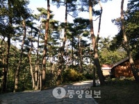 부여 만수산 노송숲 공존상 수상