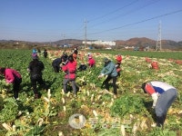 아산 허가담당관실 농촌돕기
