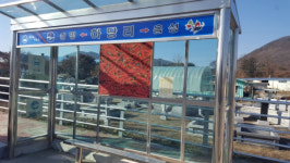 음성 원남면 버스승강장 시간표 부착 눈길