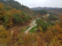 공주시 문금~신달 간선임도 신설