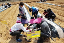 충북농협, 주말농장 선착순 분양