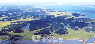 어촌계 텃세 전혀 없어요