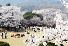 음악 들으며 꽃 향기에 흠뻑