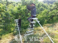 일손부족 덜고 농사일 배우고