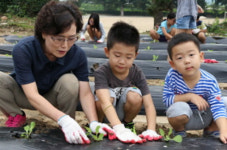 함께 해 행복한 음성 능산초, 싱싱싱 배추를 가꿔요