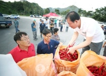 괴산홍고추 이보다 더 좋을 순 없어