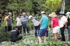 귀농하기 좋은 금산으로 오세요