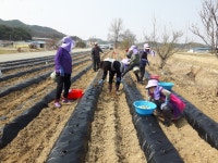 보은 탄부면 상장마을 공동체 활동 눈에 띄네