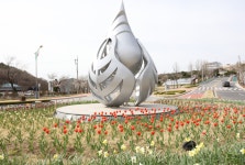 청양 시가지 봄단장 꽃향기 가득∼