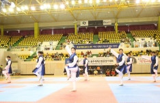 16회 송암배 전국 택견한마당 충주서 열려