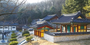 우리동네 숨겨진 이야기(28) - 음성 권근 3대묘소