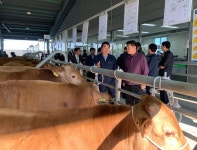 조소행 충남농협 본부장, 보령축협 가축경매시장 방문