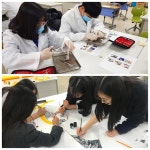 능동적이며 소리 없이 강하고 화합하는 학교...세종 보람고등학교