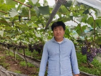 옥천군 26대 포도왕에 도담농장 이정민 대표