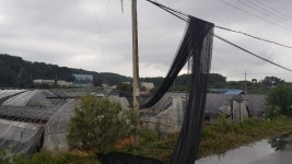 단독-대소면 일원 돌풍피해에도 면행정복지센터 느긋